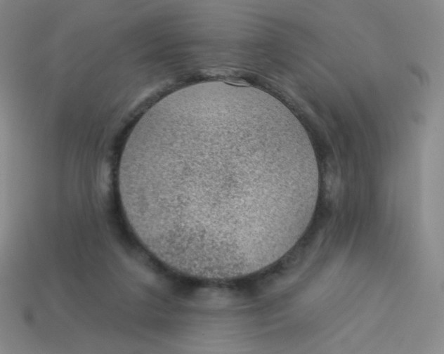 X0000113900211200910151403