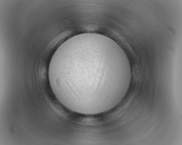 X0000113900212200910151403