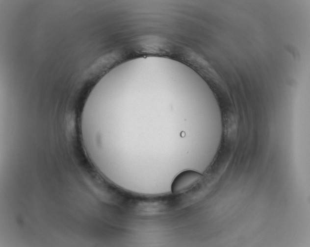 X0000113900213200910151403