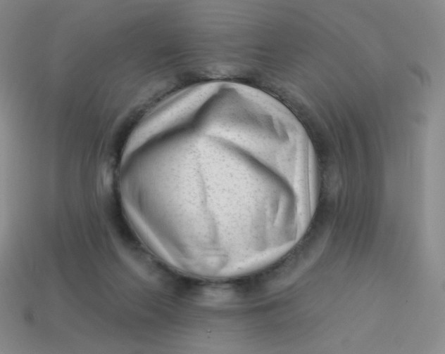 X0000113900214200910151403