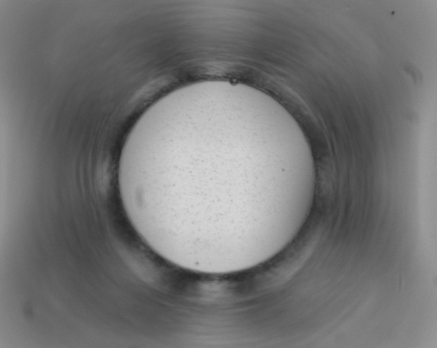 X0000113900216200910151403