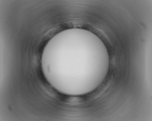 X0000113900218200910151403