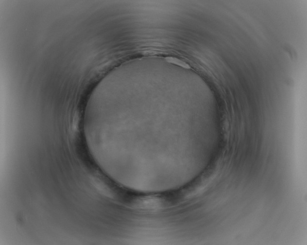 X0000113900219200910151403