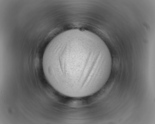 X0000113900220200910151403