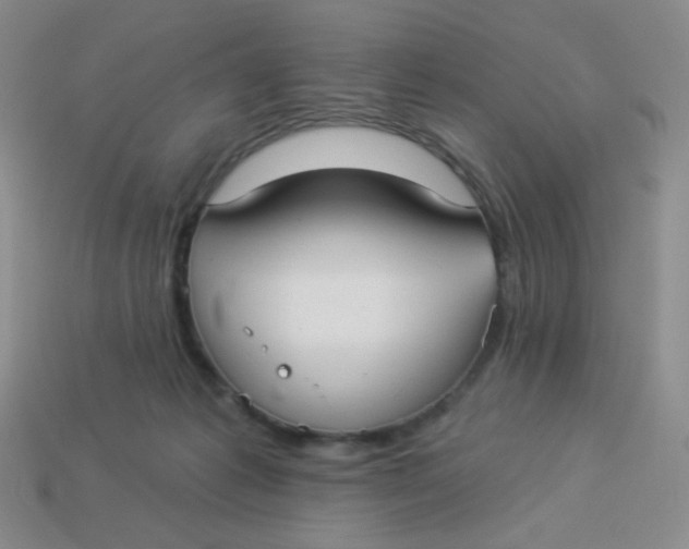 X0000113900221200910151403