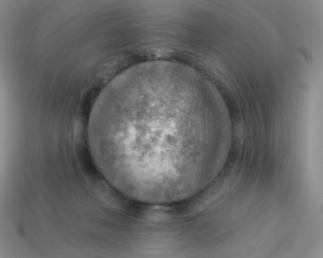 X0000113900222200910151403