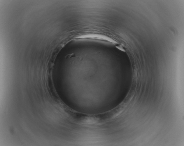 X0000113900223200910151403