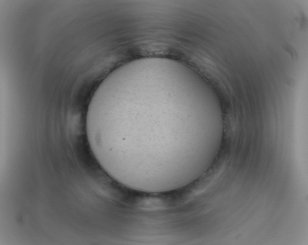 X0000113900224200910151403