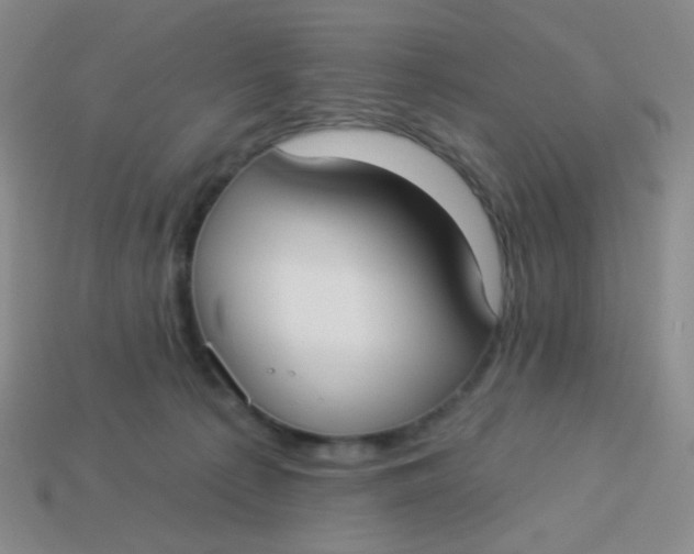 X0000113900225200910151403