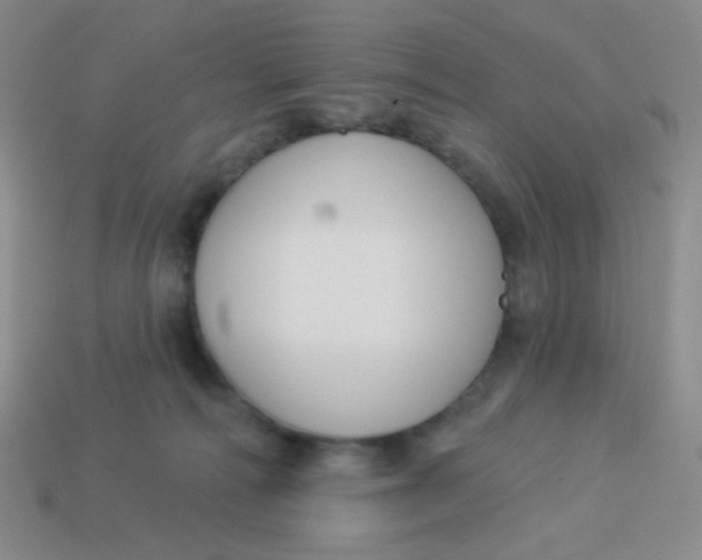 X0000113900226200910151403