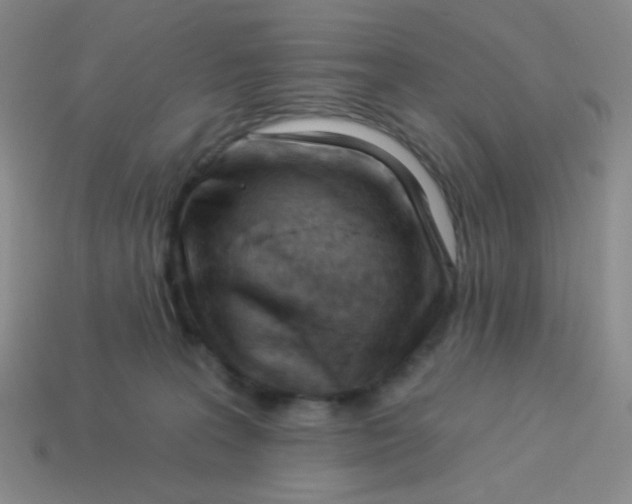 X0000113900227200910151403