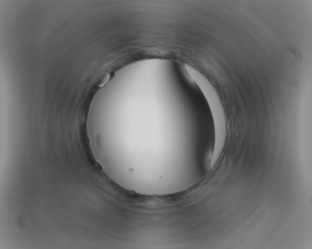 X0000113900229200910151403