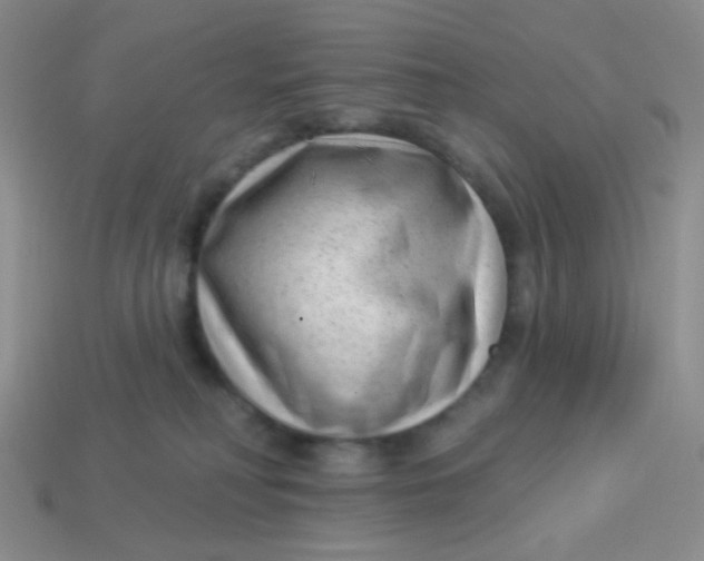 X0000113900230200910151403