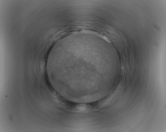 X0000113900231200910151403