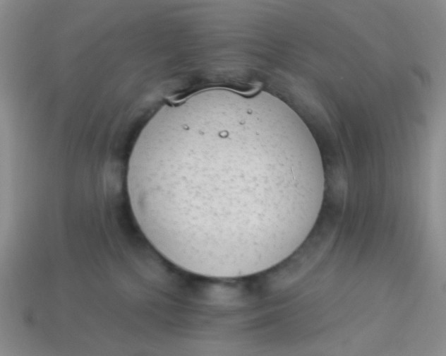 X0000113900232200910151403