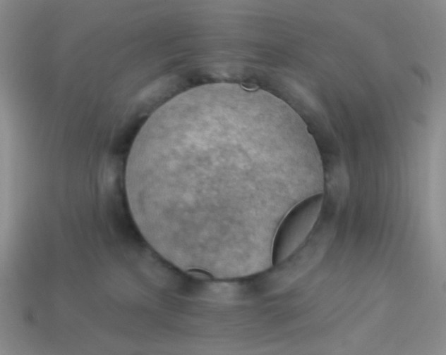 X0000113900233200910151403