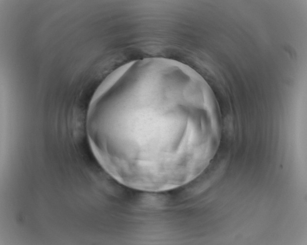 X0000113900234200910151403