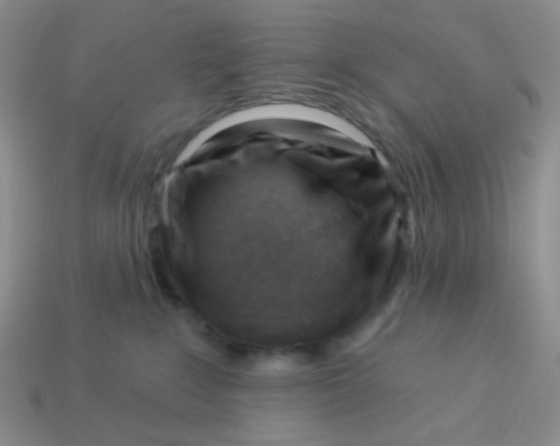 X0000113900235200910151403