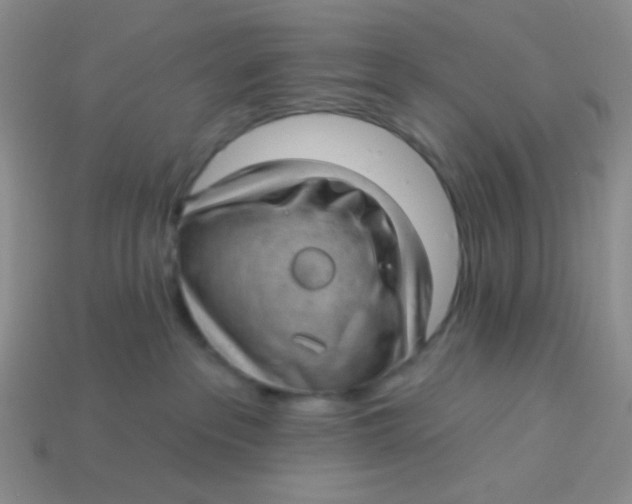 X0000113900237200910151403