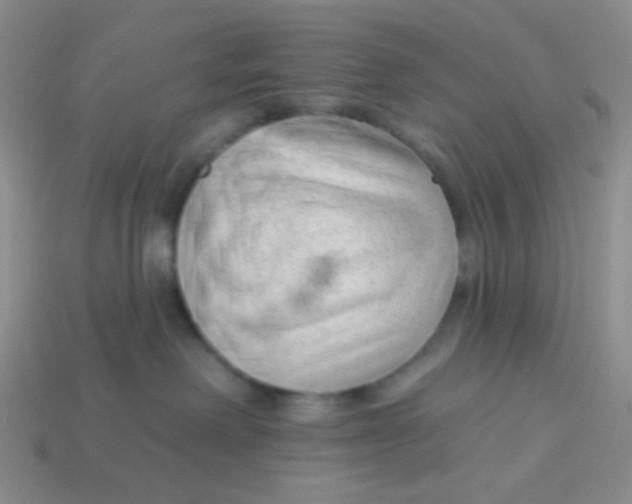 X0000113900238200910151403