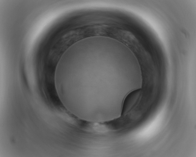 X0000113900239200910151403