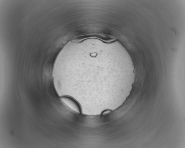 X0000113900240200910151403