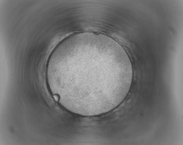 X0000113900241200910151402