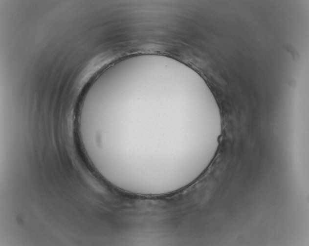 X0000113900242200910151402