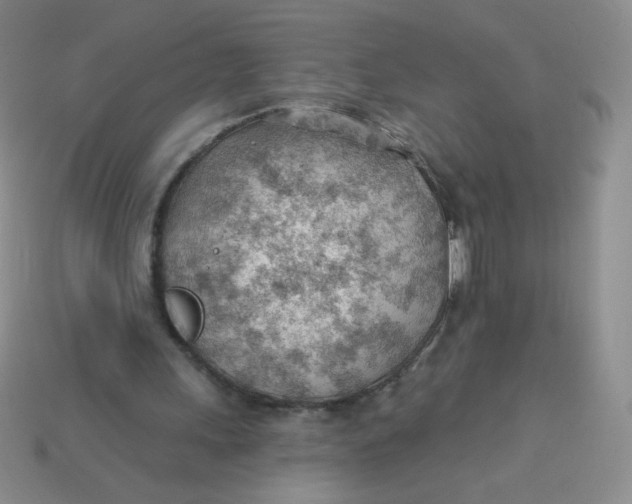 X0000113900243200910151402