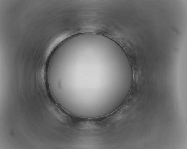 X0000113900244200910151402