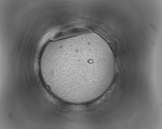 X0000113900245200910151402