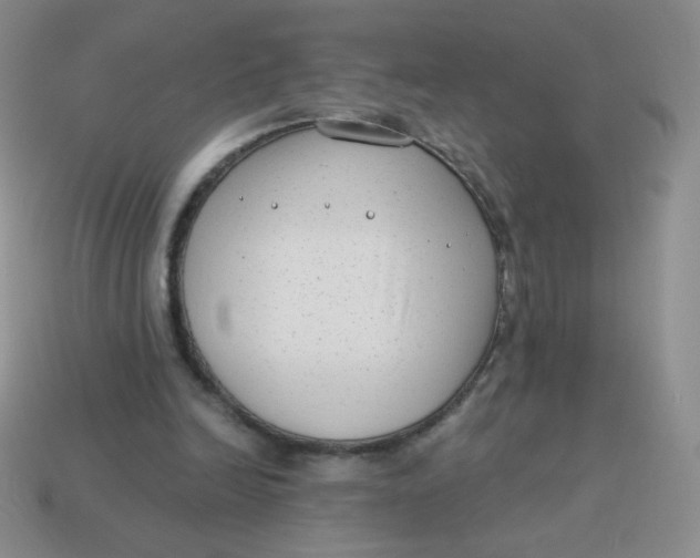 X0000113900246200910151402