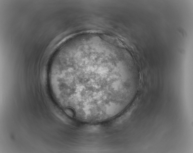 X0000113900247200910151402