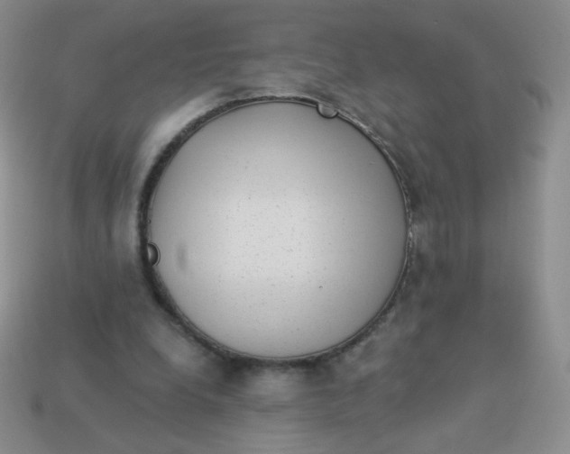 X0000113900248200910151402