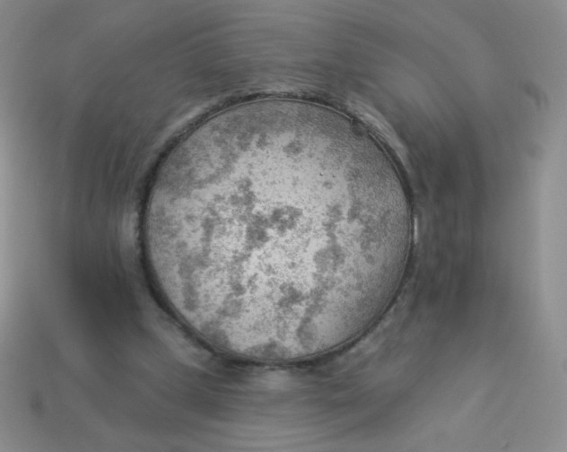 X0000113900249200910151402