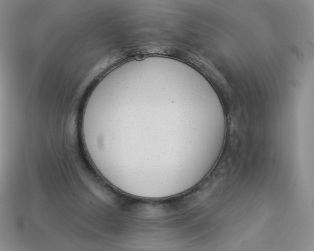 X0000113900250200910151402