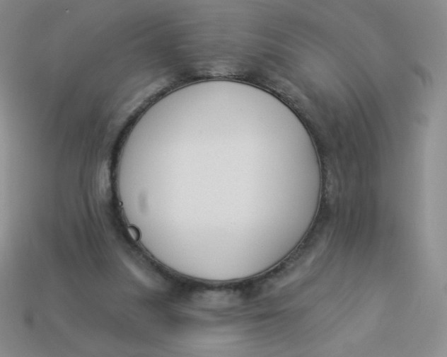 X0000113900251200910151402