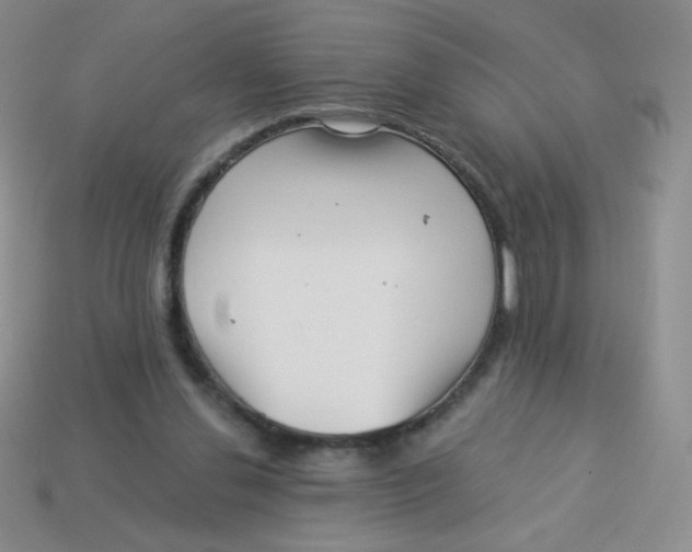 X0000113900252200910151402