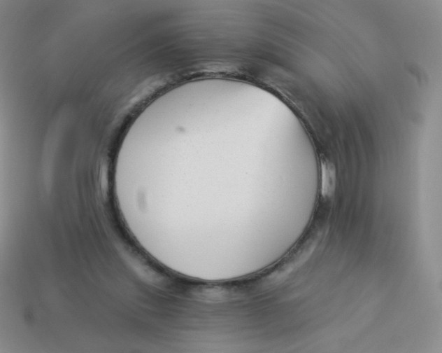 X0000113900253200910151402