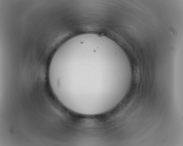 X0000113900255200910151402