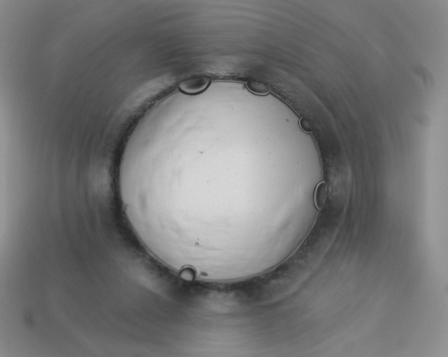 X0000113900256200910151402