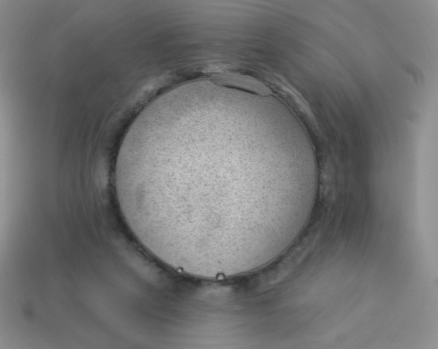 X0000113900257200910151402