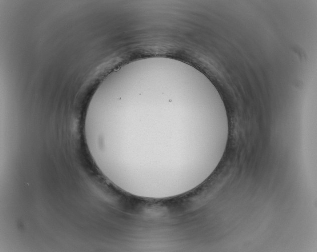 X0000113900258200910151402