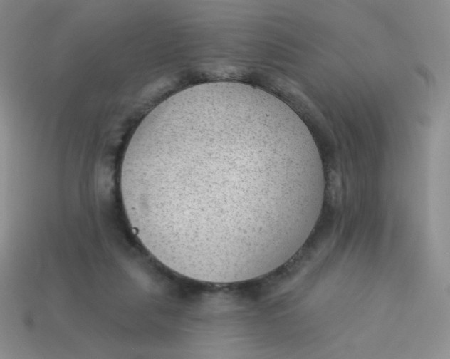 X0000113900259200910151402