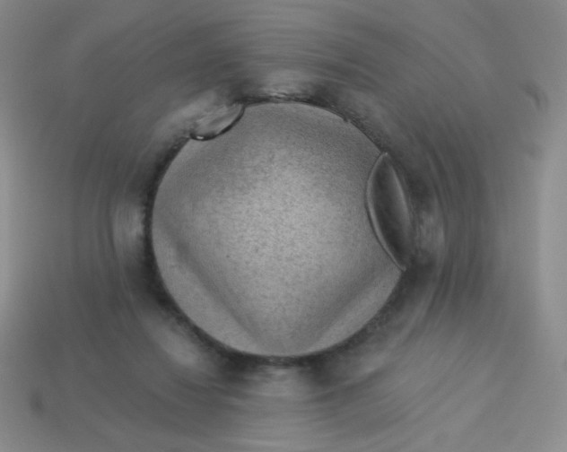 X0000113900260200910151402