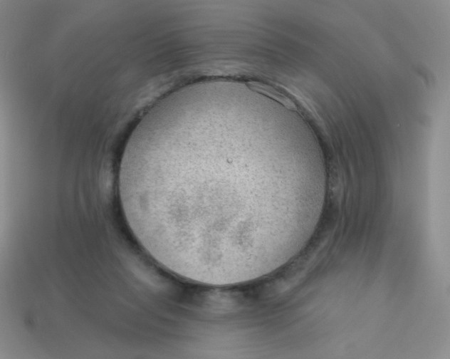 X0000113900261200910151402