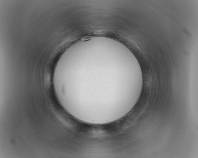 X0000113900262200910151402