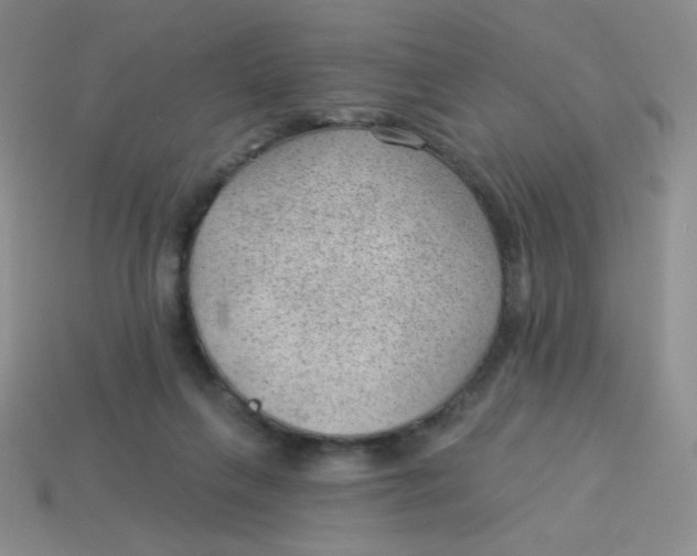 X0000113900263200910151402