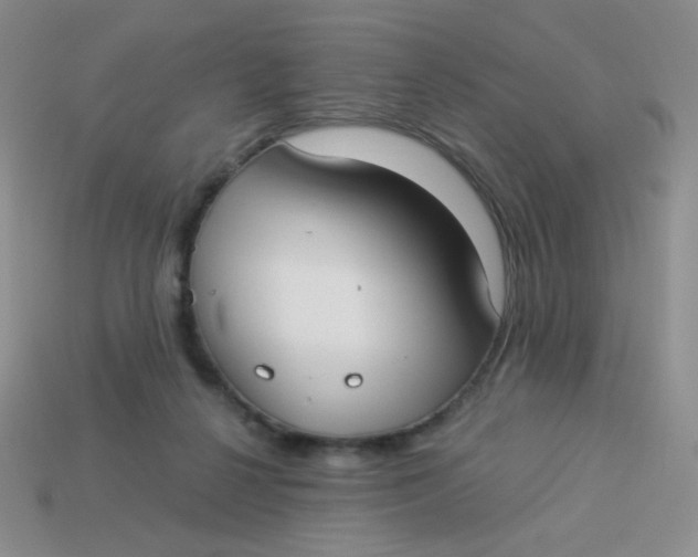 X0000113900264200910151402