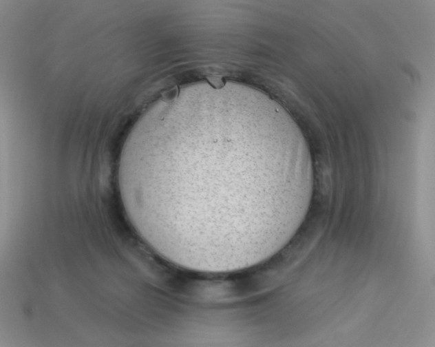 X0000113900266200910151402